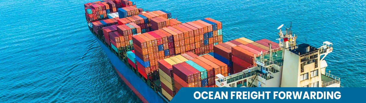  Ocean Freight Forwarding